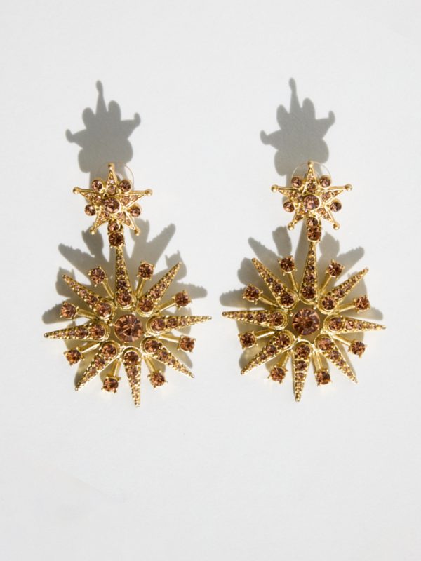 Retailer Oscar de la Renta Crystal Star Large Earrings